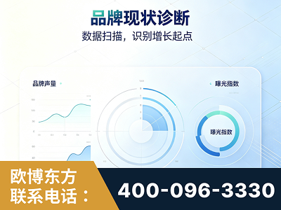 塔城-品牌现状诊断