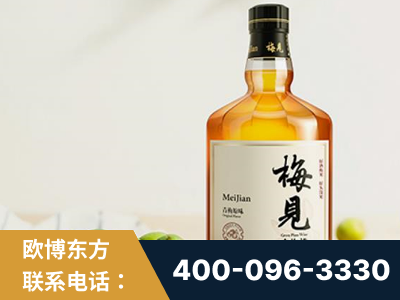 塔城-梅见青梅酒